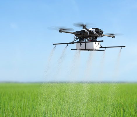 Drone spraying fertilizer on vegetable green plants, Agriculture Drone spraying fertilizer on vegetable green plants, Agriculture technology, Farm automation. 3D illustration
